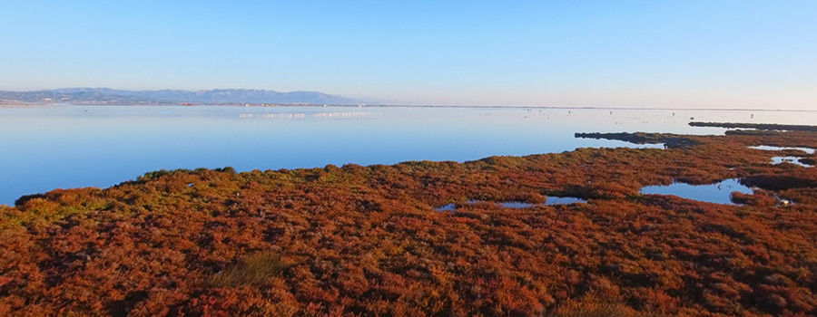 terresdelebre